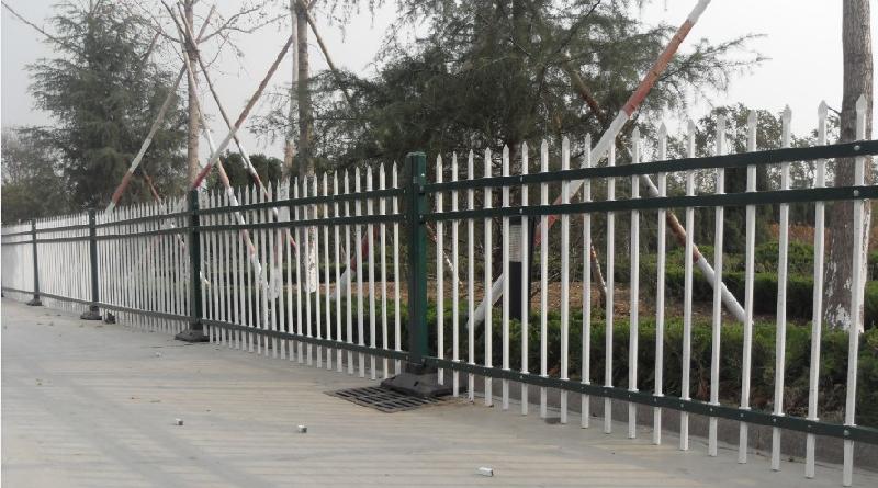 �����Fˇ����